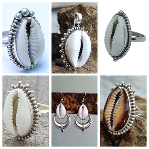 Cowrie Shell