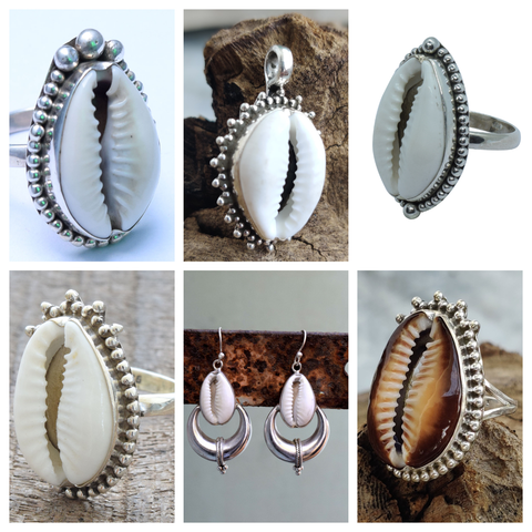 Cowrie Shell